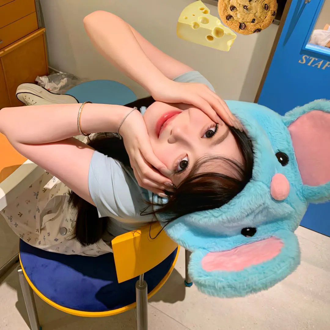 疯狂的兔子